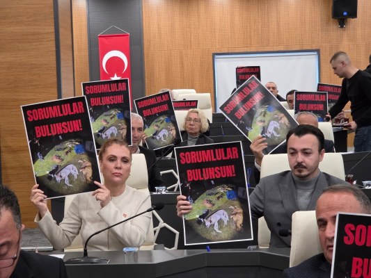 A W591153 06 533X400