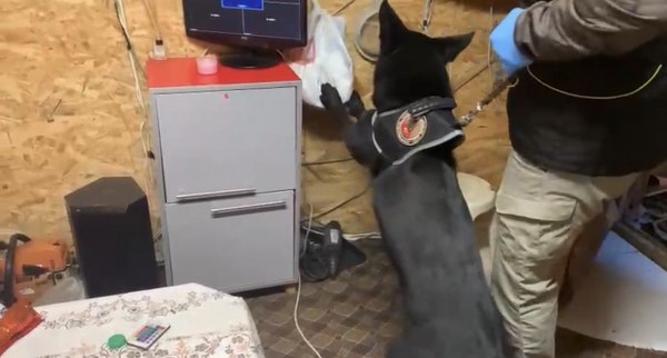 A W591185 01 600X322