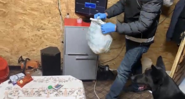 A W591185 03 600X323