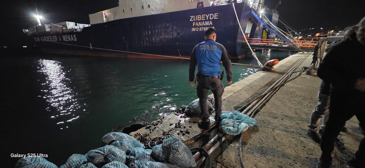 A W593451 03 1200X554