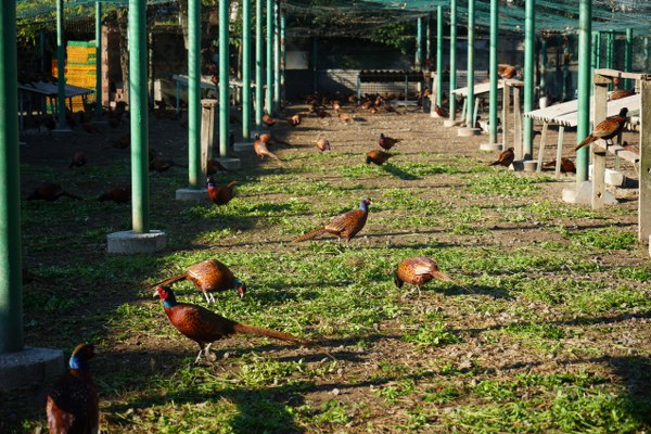 A W593927 02 600X400