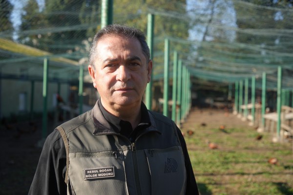 A W593927 03 600X400