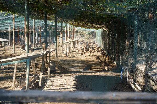 A W593927 04 600X400