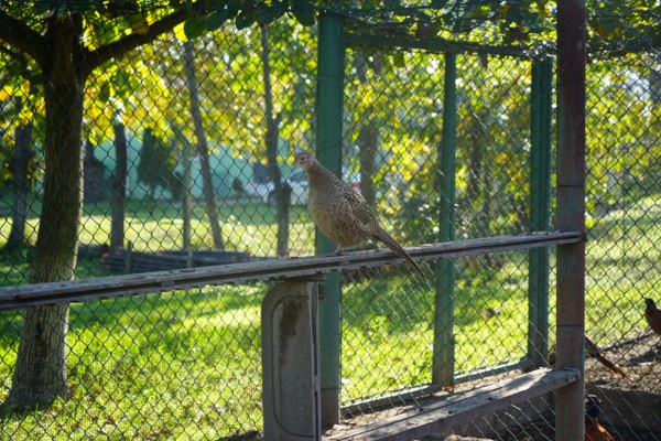 A W593927 05 600X400