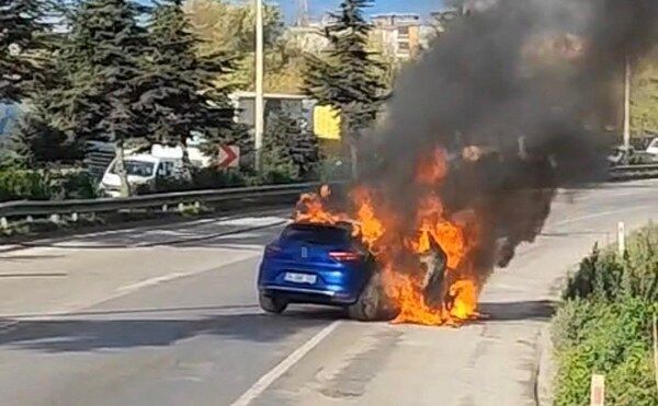 A W595025 01 600X371