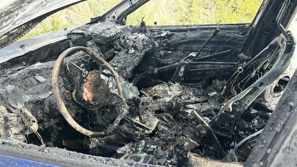 A W595025 04 600X338