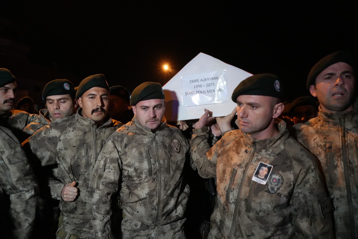 A W595479 01 1200X800