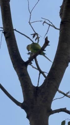 A W595980 03 225X400