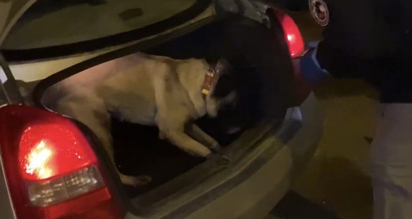 A W596371 02 600X320