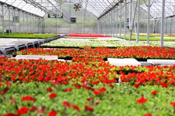 A W596406 04 600X400