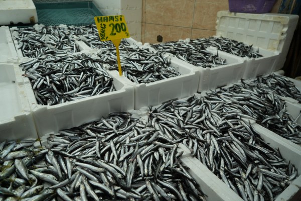 A W597180 02 600X400