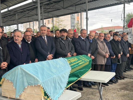 A W597349 05 533X400