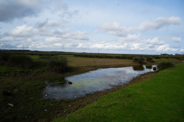 A W598412 03 600X400