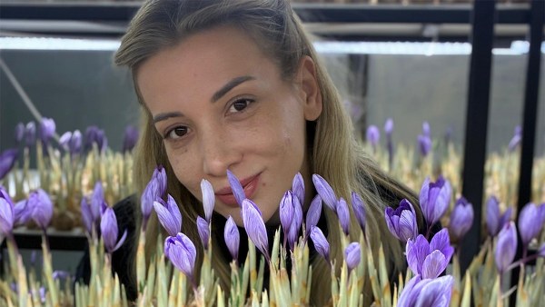 A W598517 04 600X338