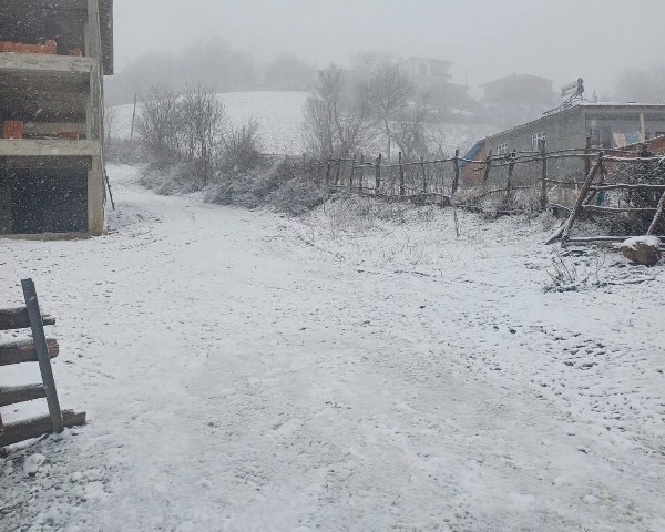 A W600374 02 600X480