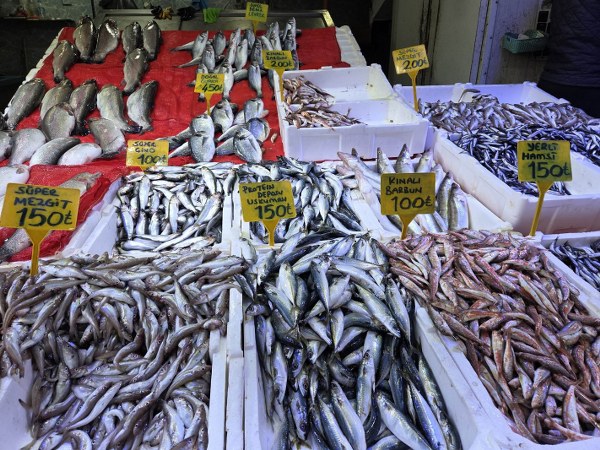 A W600428 02 600X450