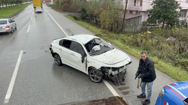 A W600522 02 600X337