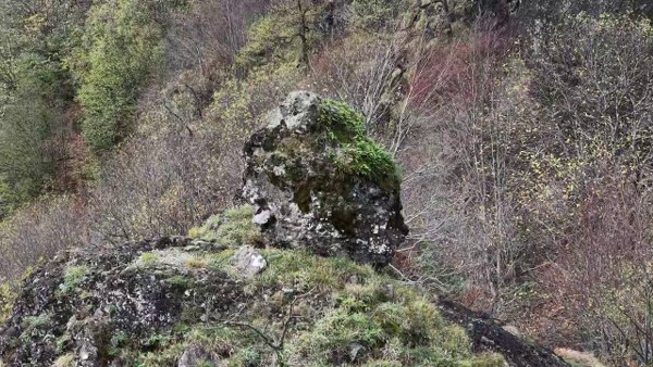 A W601519 03 600X338