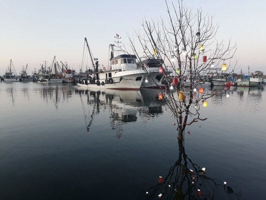 A W603865 05 533X400