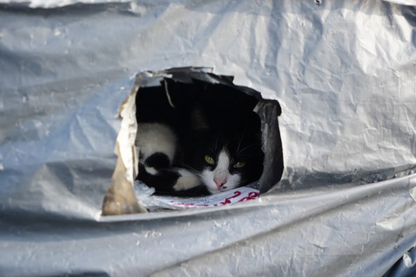 A W604744 01 600X400