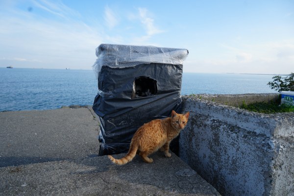 A W604744 02 600X400