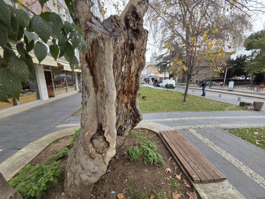 A W604830 01 533X400