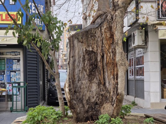 A W604830 05 533X400