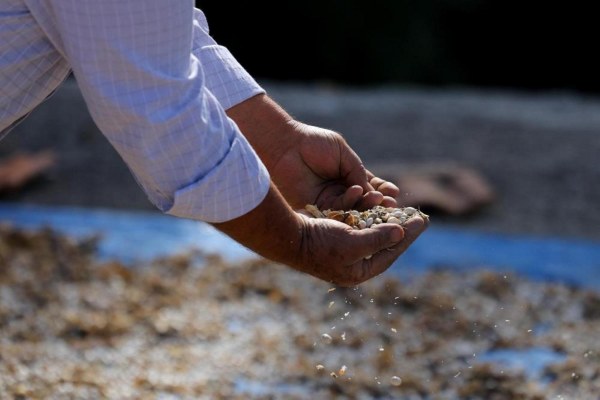 A W605244 02 600X400