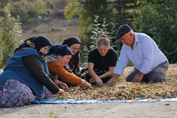 A W605244 03 600X400