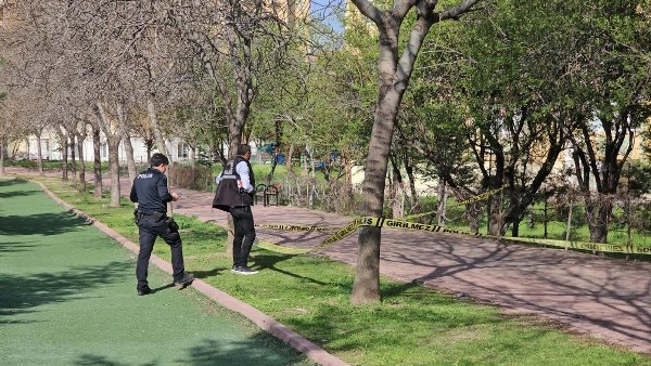 A W605638 03 600X338