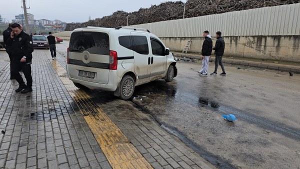 A W605666 04 600X338