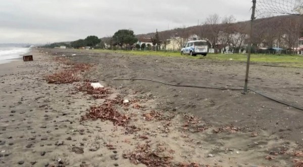 A W606830 02 600X330