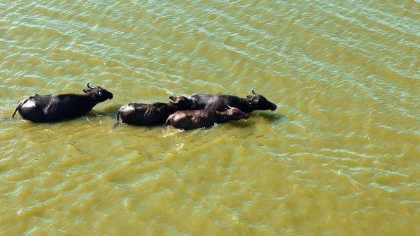 A W607376 02 600X338