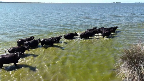 A W607376 03 600X338