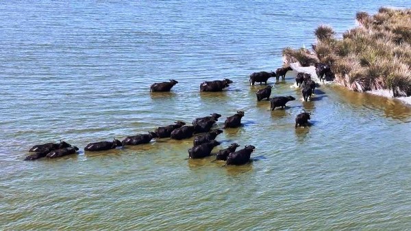 A W607376 05 600X338