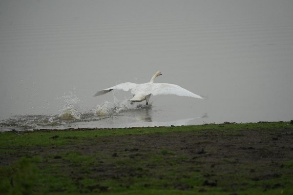 A W607526 05 600X400