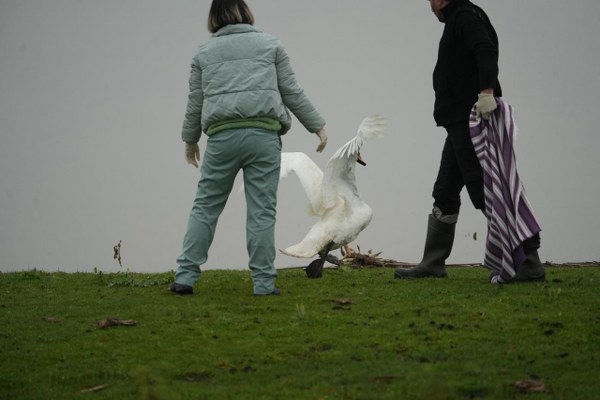 A W607526 07 600X400