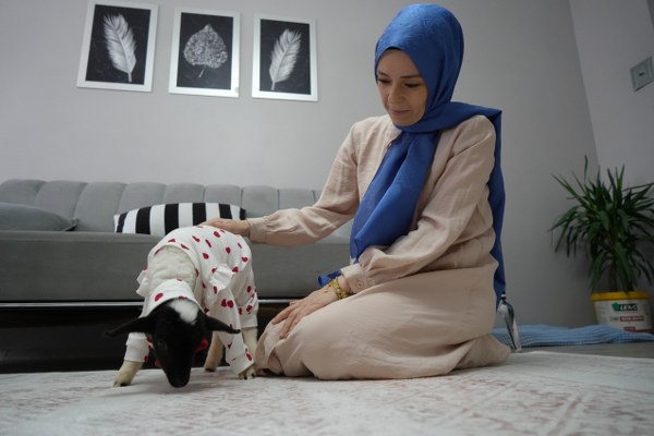 A W608767 04 600X400