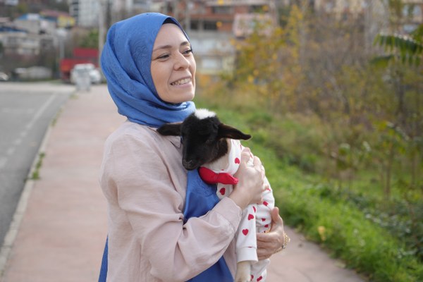 A W608767 05 600X400