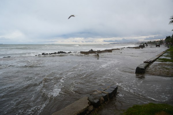 A W608983 03 600X400