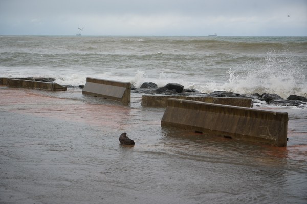 A W608983 04 600X400