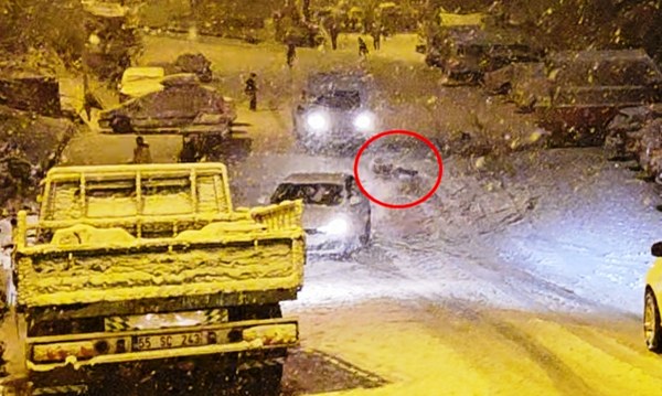 A W611947 02 600X359