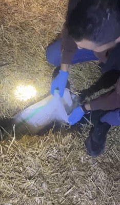 A W615005 03 234X400