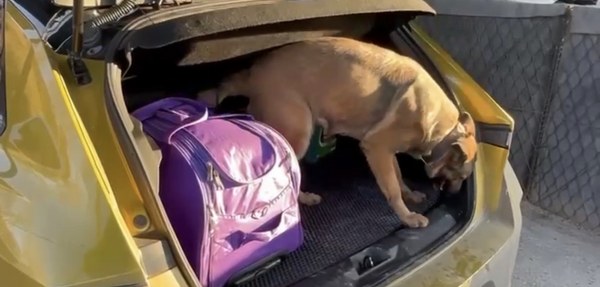 A W615146 02 600X287