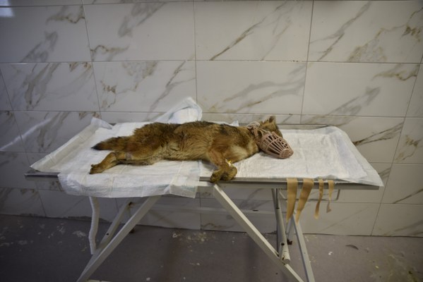 A W615428 01 599X400