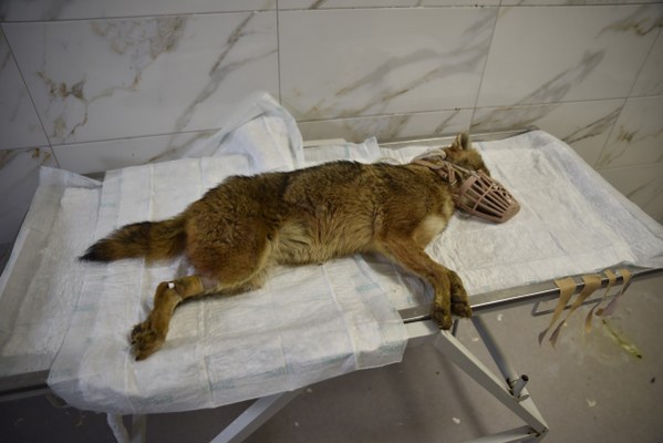 A W615428 02 599X400