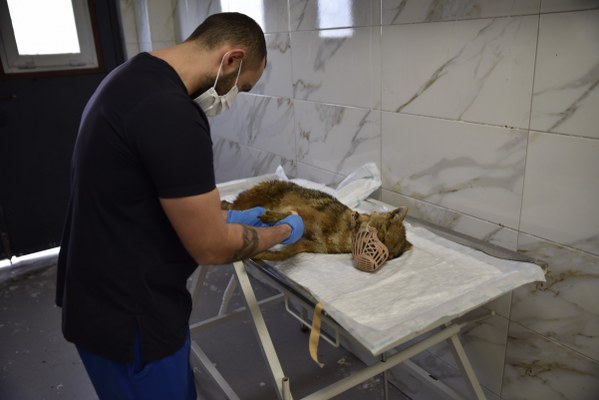 A W615428 03 599X400