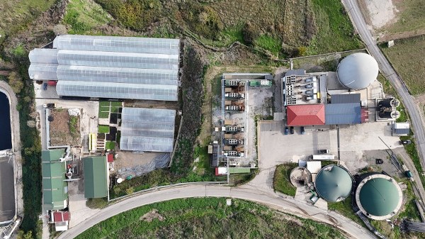 A W615823 03 600X337