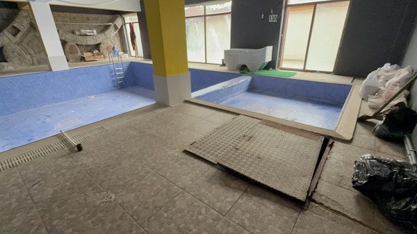 A W616876 02 600X337