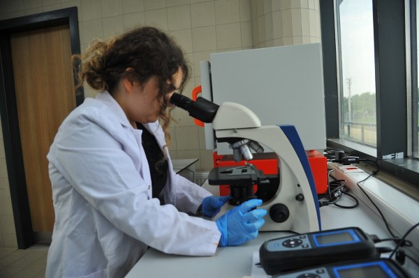 A W618382 06 600X399